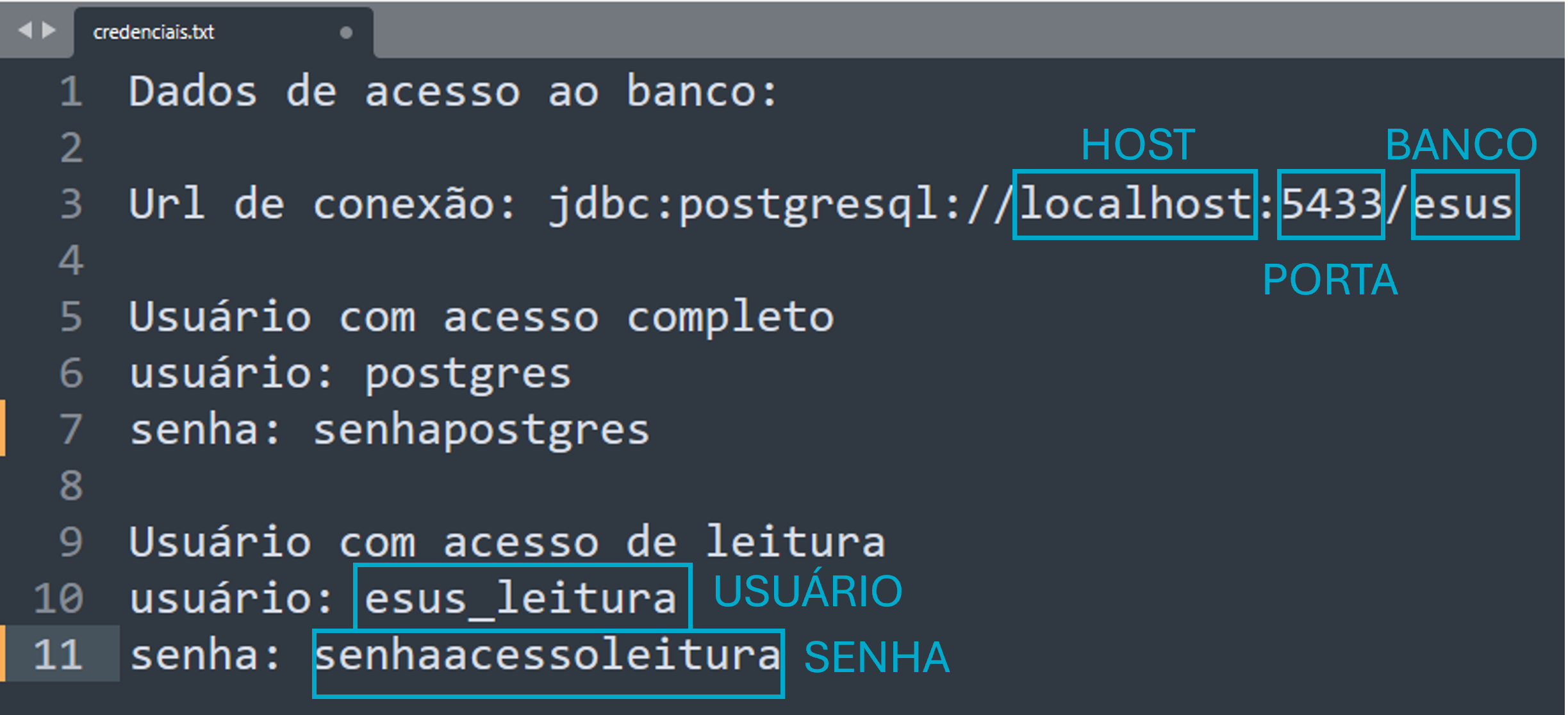 Figura 12 - Arquivo .txt “credenciais” PEC e-SUS APS.